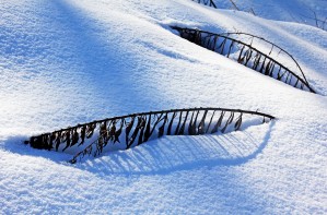 Snowbound II